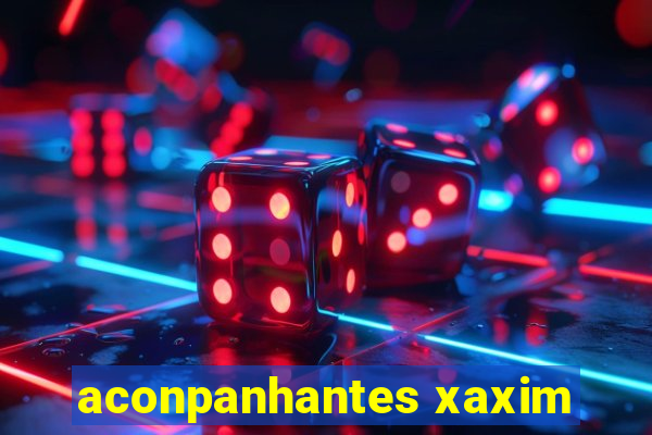 aconpanhantes xaxim